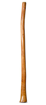 Gloss Finish Flared Didgeridoo (TW1112)